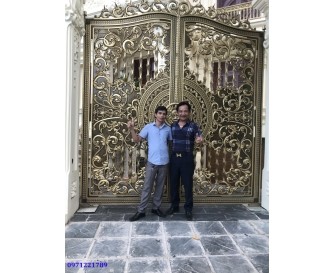 CỔNG NHÔM ĐÚC HỢP KIM C-NĐ01